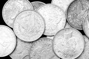 Silver Maple Leaf vs. Silver Eagle: Which is a Better Investment?